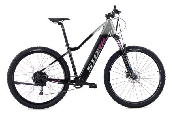 E-STELLA 29″ 2.0