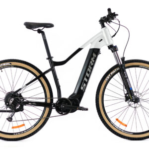 E-STELLA 29″ 3.0