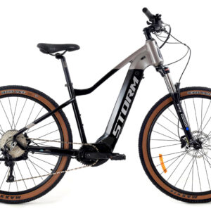 E- STELLA 29″ 4.0