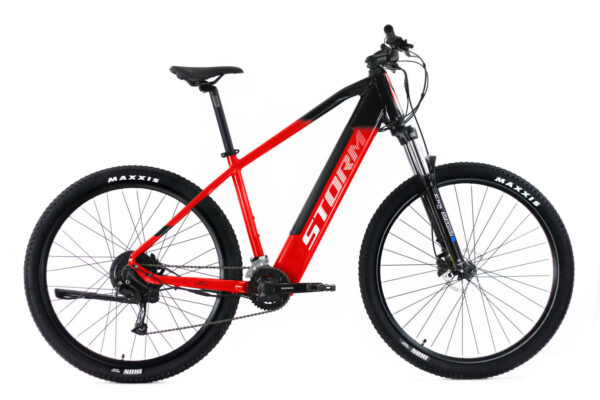 E-TAURO 29″ 2.0