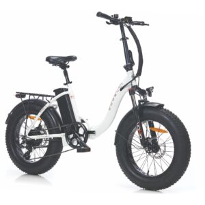 VONIQ ECO S